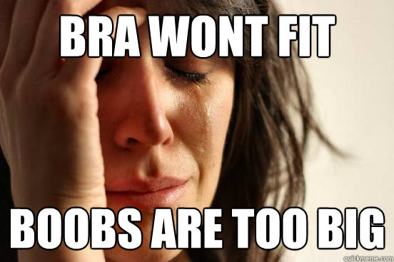 Bra wont fit boobs are too big  First World Problems
