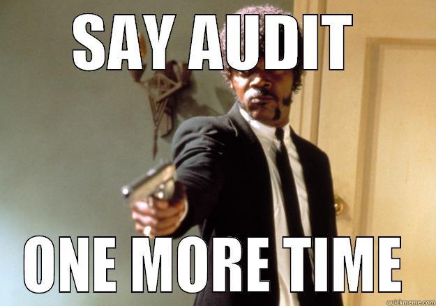 auditors SUCK - SAY AUDIT ONE MORE TIME Samuel L Jackson