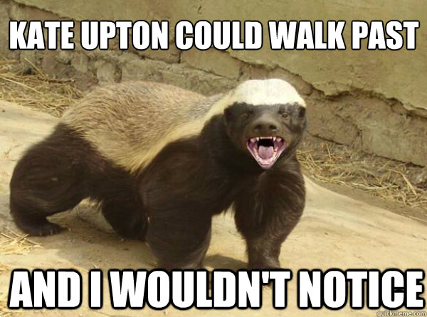 kate upton could walk past and i wouldn't notice  Honey Badger