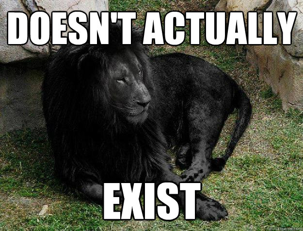 Doesn't actually Exist - Doesn't actually Exist  Black Lion Problems