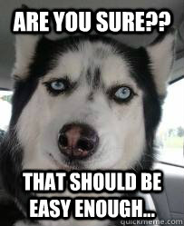 Are you sure?? That should be easy enough... - Are you sure?? That should be easy enough...  Skeptical Dog