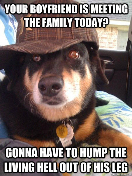 your boyfriend is meeting the family today? gonna have to hump the living hell out of his leg   Scumbag dog