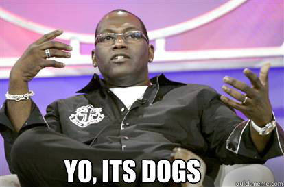  yo, its dogs -  yo, its dogs  Randy Jackson