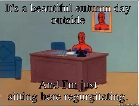 IT'S A BEAUTIFUL AUTUMN DAY OUTSIDE AND I'M JUST SITTING HERE REGURGITATING. Spiderman Desk