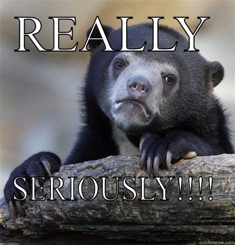 REALLY SERIOUSLY!!!! Confession Bear