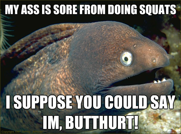my ass is sore from doing squats  I suppose you could say im, butthurt!  Bad Joke Eel
