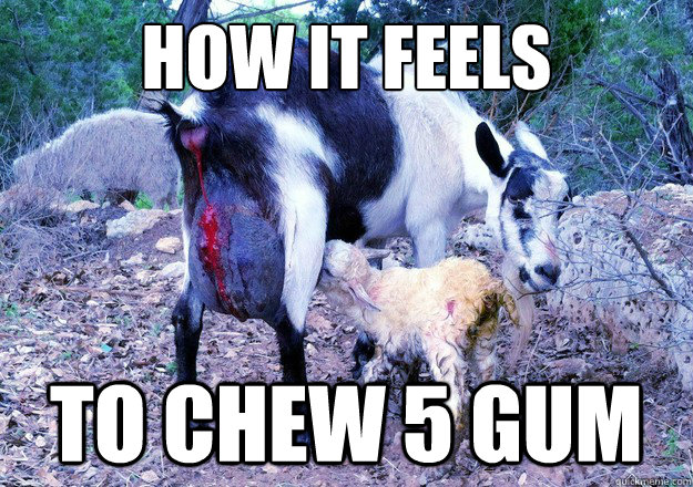how it feels To chew 5 gum  5 gum