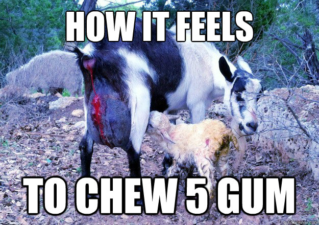 How It Feels To Chew 5 Gum Meme