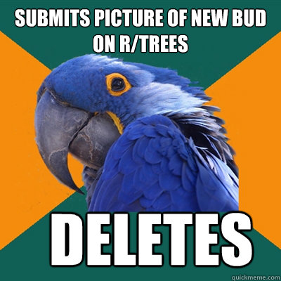 submits picture of new bud on r/trees   deletes  Paranoid Parrot