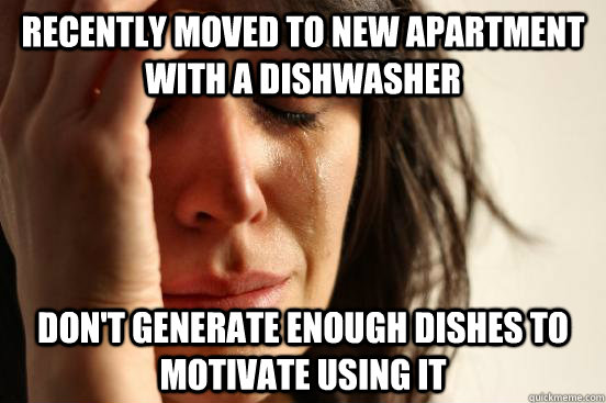 Recently moved to new apartment with a dishwasher Don't generate enough dishes to motivate using it  First World Problems