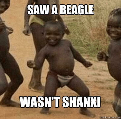Saw a Beagle Wasn't Shanxi  Third World Success Kid