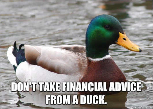  Don't take financial advice from a duck.  Actual Advice Mallard