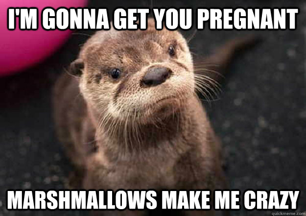 I'm gonna get you pregnant Marshmallows make me crazy - I'm gonna get you pregnant Marshmallows make me crazy  Tracyjordon otter