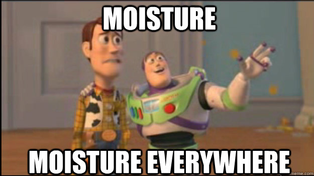 Moisture Moisture everywhere  Buzz and Woody