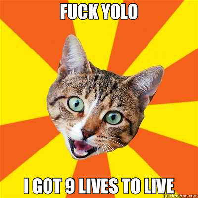 FUCK YOLO I GOT 9 LIVES TO LIVE - FUCK YOLO I GOT 9 LIVES TO LIVE  Bad Advice Cat