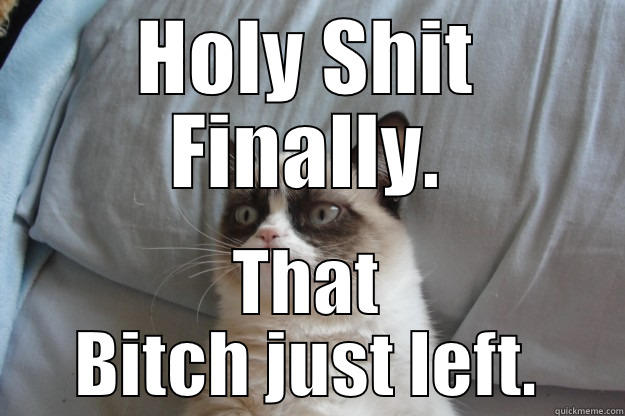 HOLY SHIT FINALLY. THAT BITCH JUST LEFT. Grumpy Cat