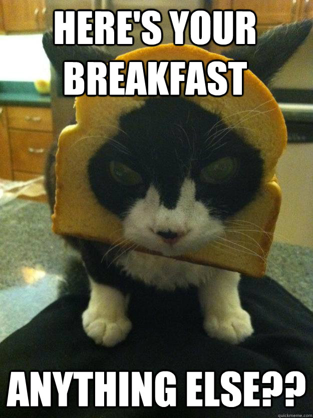 HERE'S YOUR BREAKFAST ANYTHING ELSE??  Angry Breaded Cat