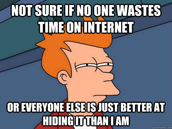 Not sure if no one wastes time on internet Or everyone else is just better at hiding it than i am - Not sure if no one wastes time on internet Or everyone else is just better at hiding it than i am  Futurama Fry