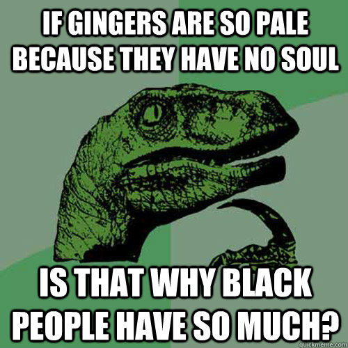 If gingers are so pale because they have no soul Is that why black people have so much?  Philosoraptor