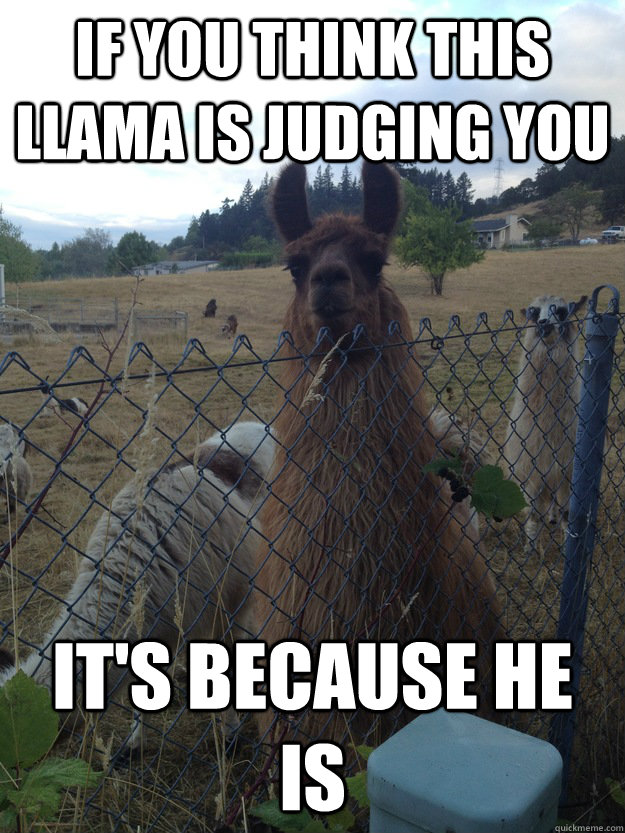 llama judge memes | quickmeme