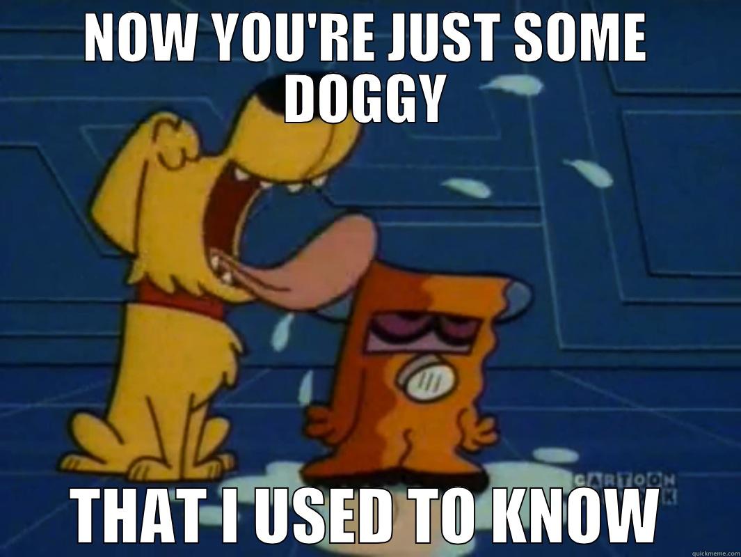 Dexter's Lab - NOW YOU'RE JUST SOME DOGGY THAT I USED TO KNOW Misc