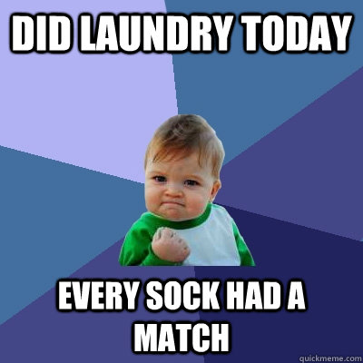 Did laundry today Every sock had a match  Success Kid