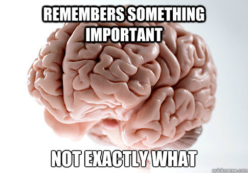 Remembers something important Not exactly what  Scumbag Brain