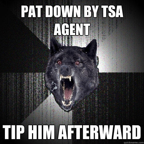 pat down by tsa agent tip him afterward   Insanity Wolf