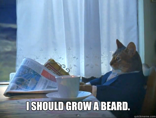  I should grow a beard.  The One Percent Cat