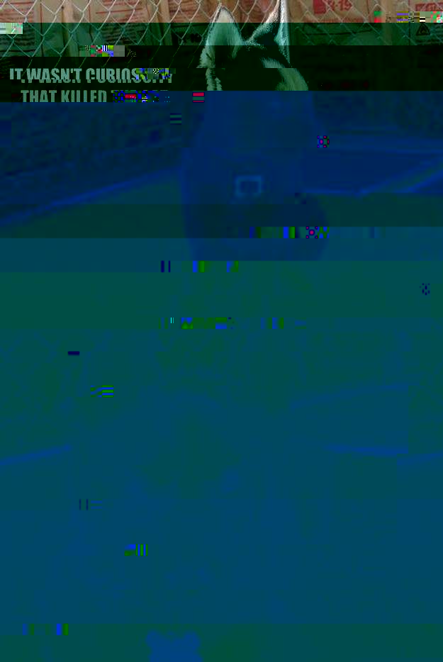 It wasn't curiosity 
that killed the cat   Insanity puppy