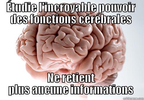 ÉTUDIE L'INCROYABLE POUVOIR DES FONCTIONS CÉRÉBRALES NE RETIENT PLUS AUCUNE INFORMATIONS Scumbag Brain