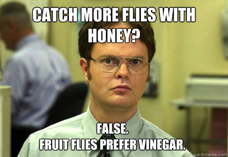 Catch more flies with honey? False. 
Fruit flies prefer vinegar. - Catch more flies with honey? False. 
Fruit flies prefer vinegar.  Dwight