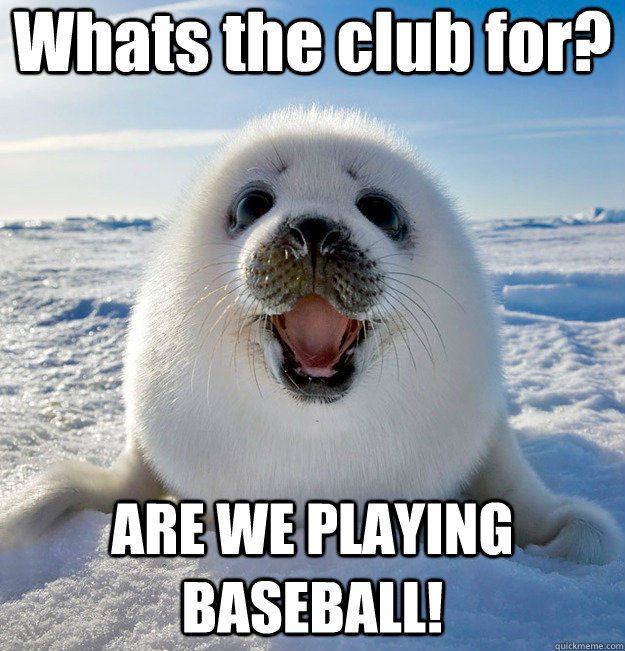 Whats the club for? ARE WE PLAYING BASEBALL!  Easily Pleased Seal