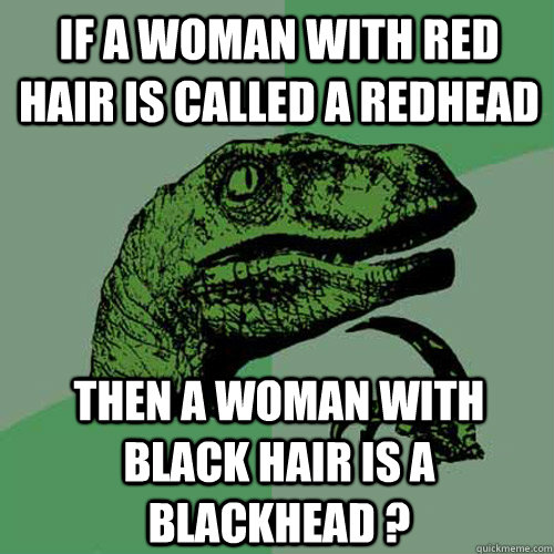 If a woman with red hair is called a redhead then a woman with black hair is a blackhead ? - If a woman with red hair is called a redhead then a woman with black hair is a blackhead ?  Philosoraptor