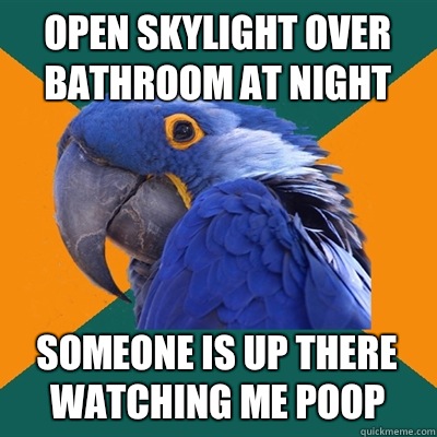 Open skylight over bathroom at night Someone is up there watching me poop  Paranoid Parrot