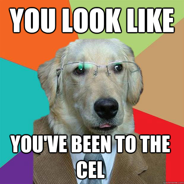 You look like you've been to the CEL  Business Dog
