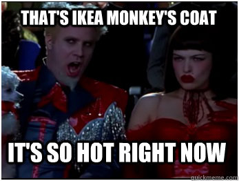 it's so hot right now that's Ikea Monkey's coat  