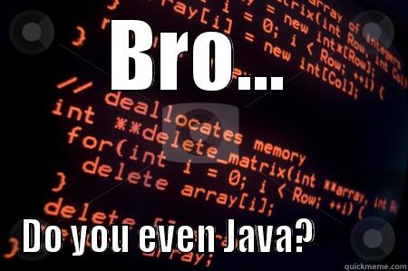 BRO... DO YOU EVEN JAVA?           Misc