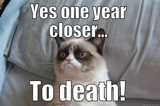 YES ONE YEAR CLOSER... TO DEATH! Grumpy Cat
