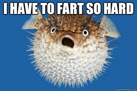 I have to fart so hard  - I have to fart so hard   ANGRY BLOWFISH