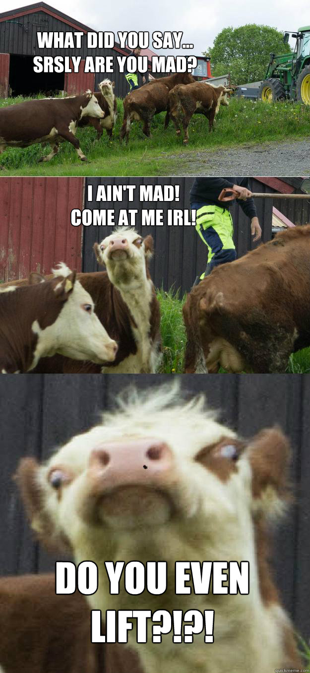 What did you say... 
srsly are you mad? DO YOU EVEN LIFT?!?! I ain't mad!
Come at me IRL! - What did you say... 
srsly are you mad? DO YOU EVEN LIFT?!?! I ain't mad!
Come at me IRL!  Derp Cow