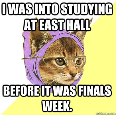 I was into studying at east hall before it was finals week.  Hipster Kitty