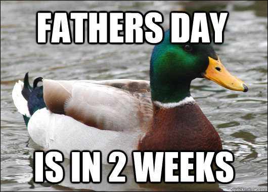 Fathers Day Is in 2 weeks  Actual Advice Mallard