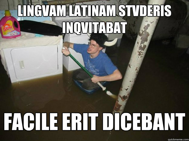LINGVAM LATINAM STVDERIS INQVITABAT FACILE ERIT DICEBANT  Fixd The Laundry They Said