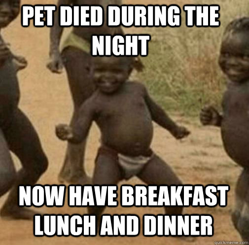 Pet died during the night now have breakfast lunch and dinner  