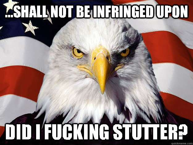 ...Shall not be infringed upon Did I fucking stutter?   Evil American Eagle