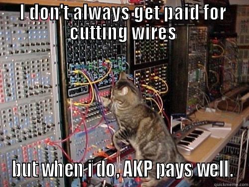 I DON'T ALWAYS GET PAID FOR CUTTING WIRES BUT WHEN I DO, AKP PAYS WELL. Misc
