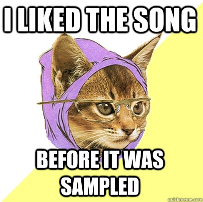 I liked the song before it was sampled   Hipster Kitty