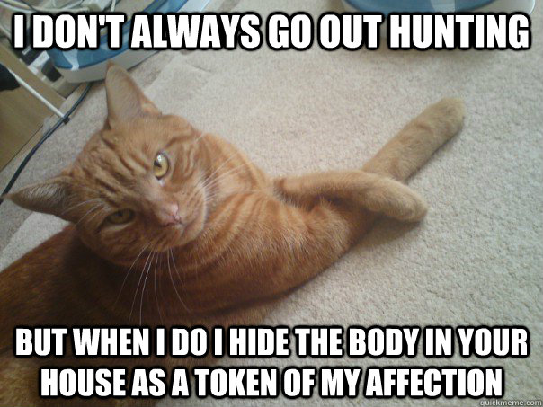 i don't always go out hunting but when i do i hide the body in your house as a token of my affection - i don't always go out hunting but when i do i hide the body in your house as a token of my affection  Misc