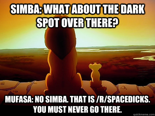 SIMBA: what about the dark spot over there? Mufasa: No Simba. That is /r/spacedicks. You must never go there.  